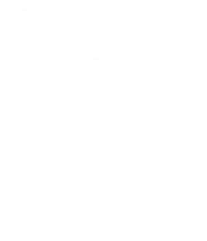 Anime Streaming