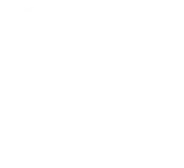 Flag API