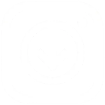 Instagram Downloader