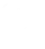Shopee Video Downloader
