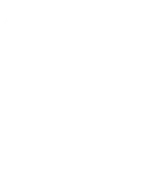 X Twitter Video Downloader